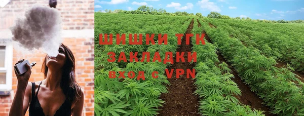 дживик Верея