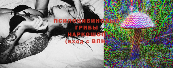 PSILOCYBIN Верхний Тагил