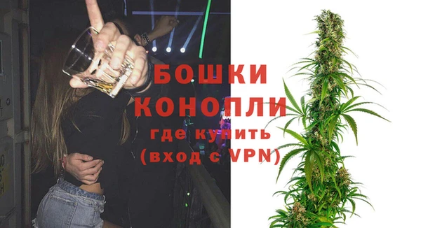 PSILOCYBIN Верхний Тагил