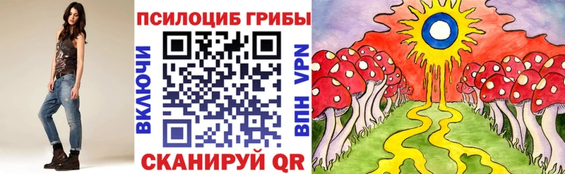 Галлюциногенные грибы Magic Shrooms  Купить где  Павловский Посад 
